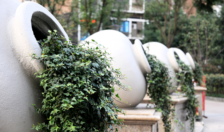 華亭陽光綠洲小區景觀帶