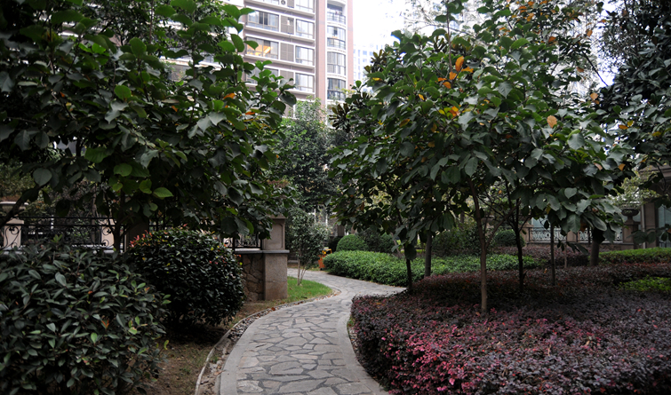 華亭陽光綠洲小區內幽靜小道