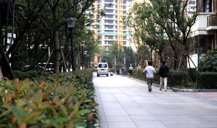 華亭陽光綠洲小區