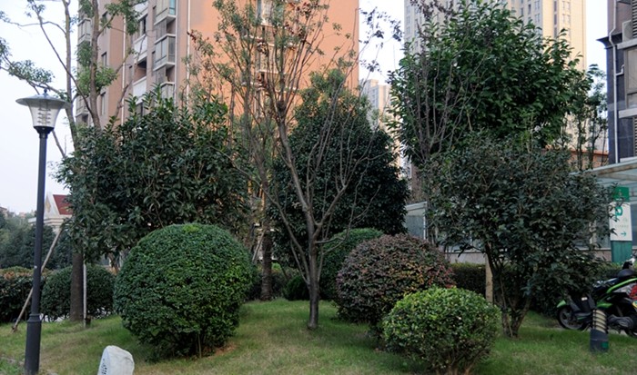 華亭陽光綠洲小區